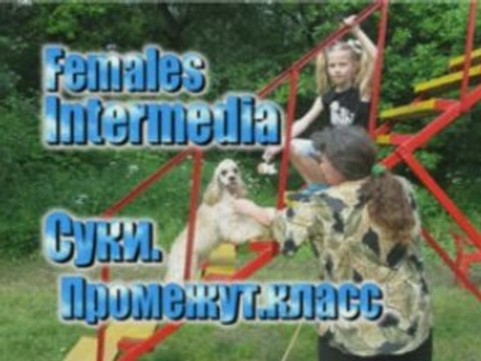 21.06.2008 Dog show Moscow American cocker