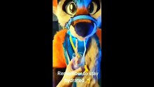 making memes of Kyro Fox