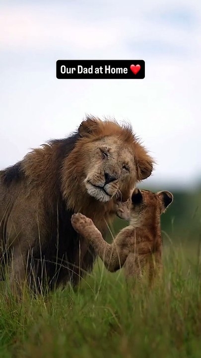 The protector at home. The fighter outside.💯🔥#reels #follow #dad #love