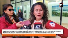 La Legislatura misionera aprobó una ley para regular la tenencia de perros potencialmente peligrosos