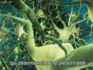 What the bleep do we know ! - partie 4 7