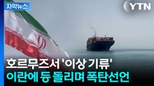 [자막뉴스] "호르무즈 지나다 의문의 공격"...이란, 통행료 받나 했는데 '당혹' / YTN