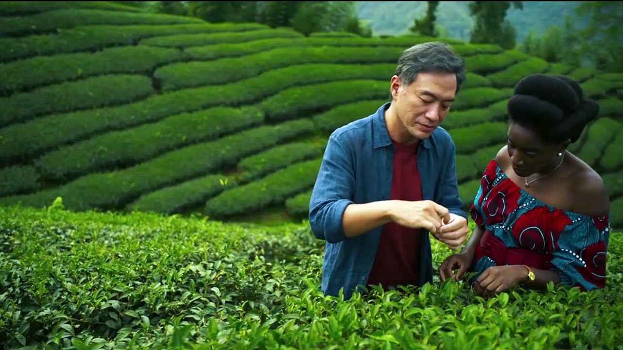 Black Tea: Trailer HD VO st FR/NL