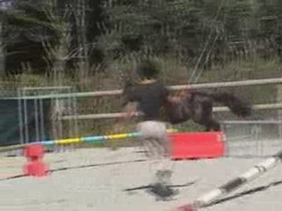 SSA Saut en Liberté film
