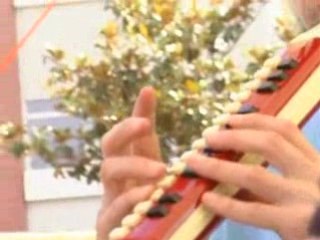 Concerts d'été bande annonce 2008