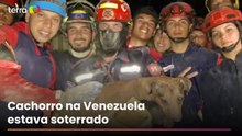Cachorro é resgatado em meio a escombros após terremoto na Venezuela