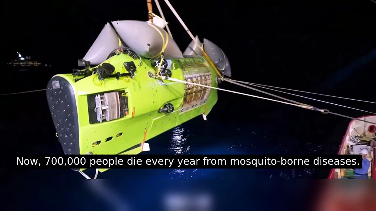 Mosquitoes Kill 700,000 People Every Year — And Science Can't Stop Them
