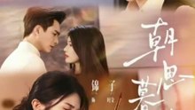 when the violin weeps chinese drama