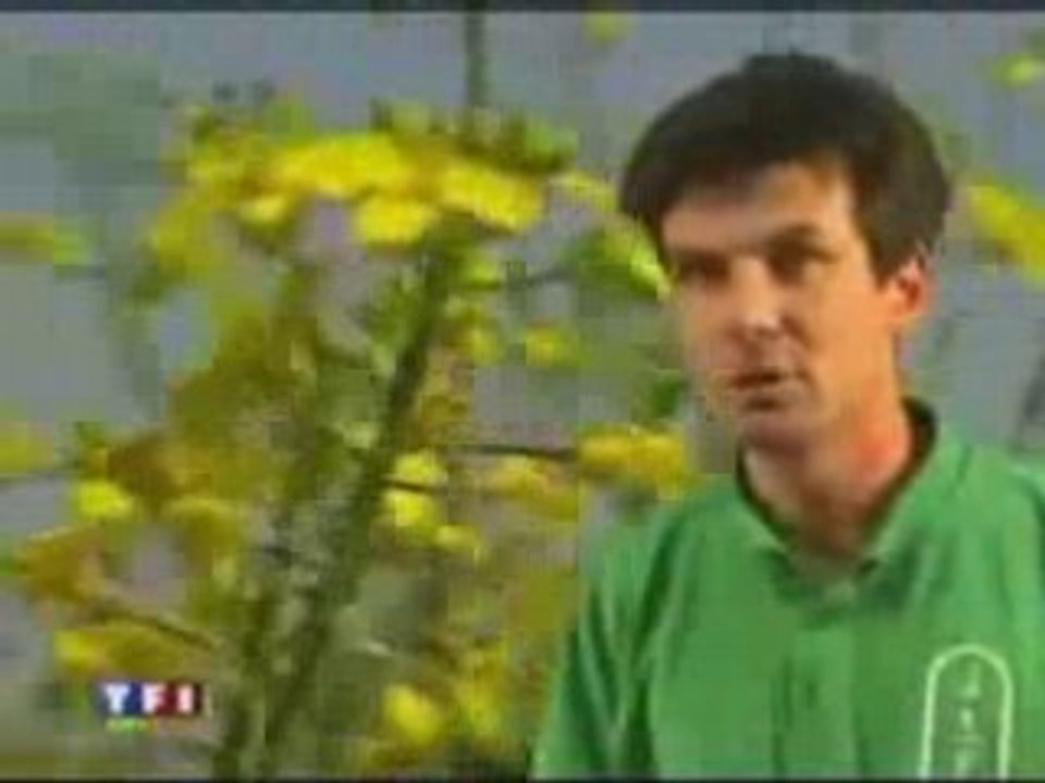 La crise de l'energie (1)