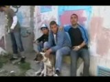 RAP TUNISIE Aldin couzin 7wem il mafia ...