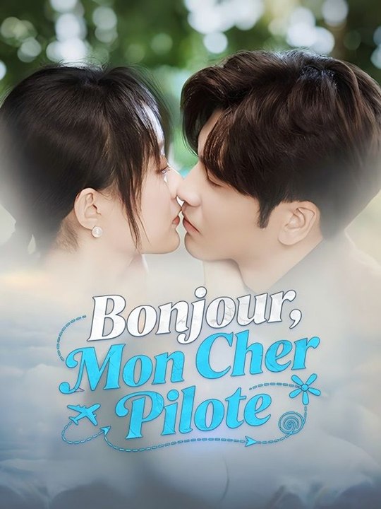 Bonjour, Mon Cher Pilote