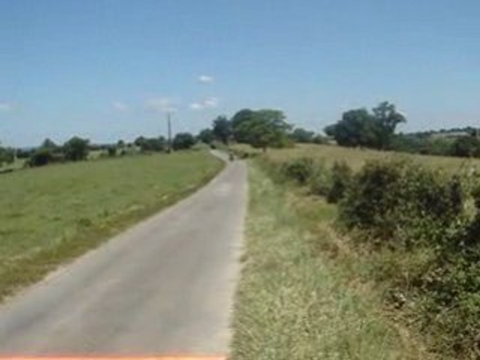 betarr46