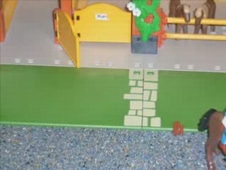 Film d'animation playmobil