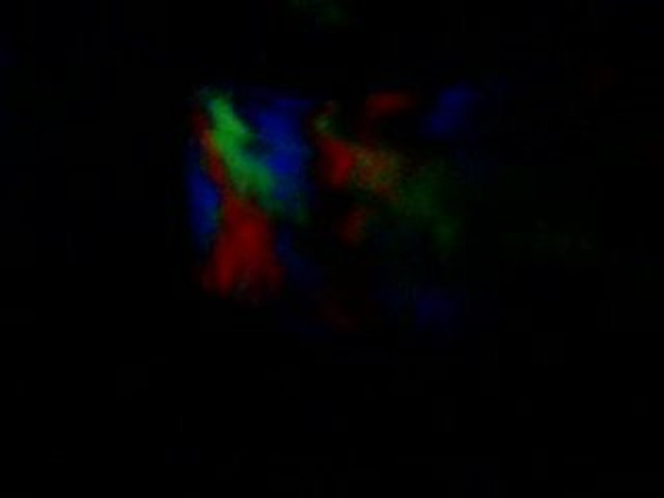 Le bon son trance de la fête de la zik (marboué)