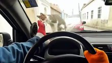OMG WAIT 🤣THIS GUY 😂SO BAD 🤣 I'M DONE 😂WATCH HIM 🤣THE END