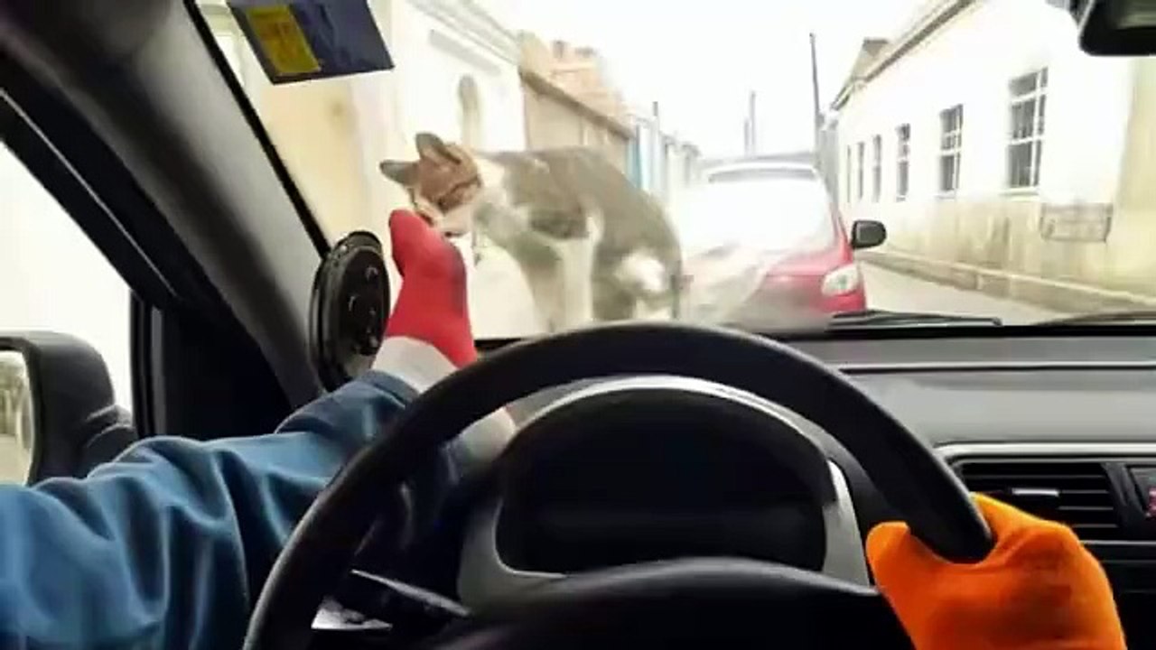 OMG WAIT 🤣THIS GUY 😂SO BAD 🤣 I'M DONE 😂WATCH HIM 🤣THE END