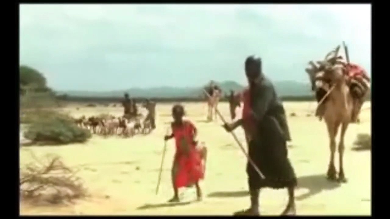 SI LE VENT SOULÈVE LES SABLES (2006) Bande Anno...