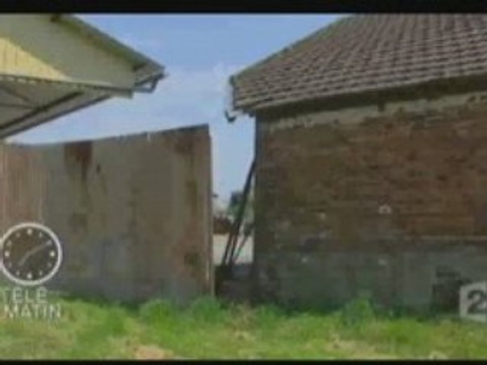 Un cocq deranger par un ep thorn pilote