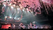[2024.11.02] Tsubaki Factory DVD Magazine Vol.32 [Disc 2 TSBE-43]