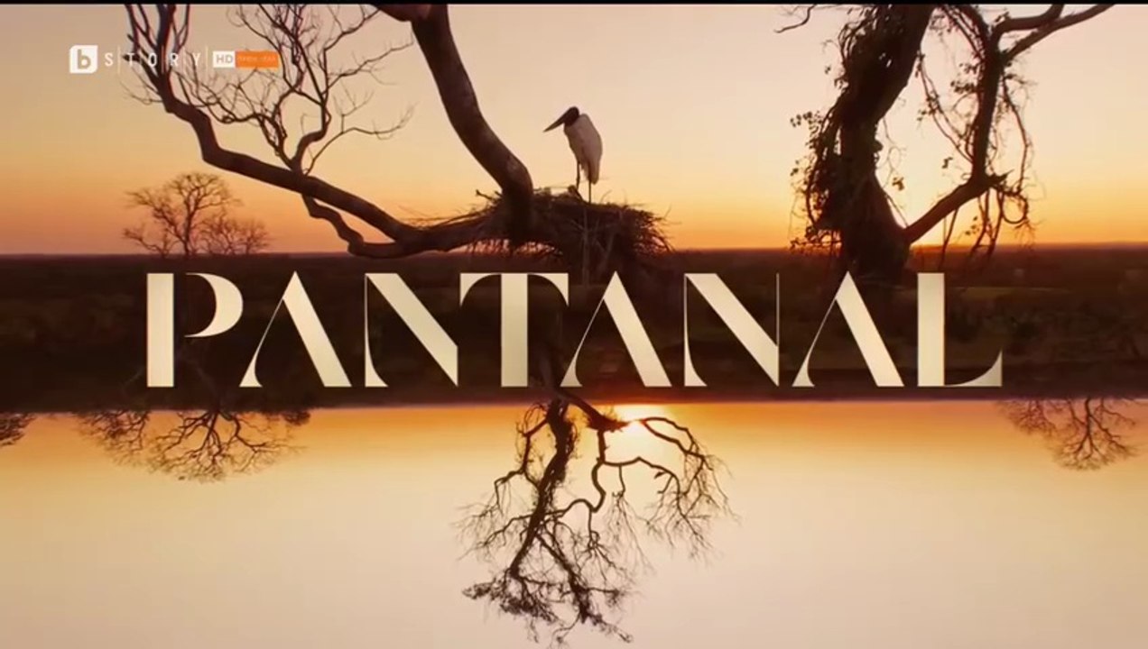 Пантанал 1 Епизод 109