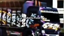 Mukamu pucat