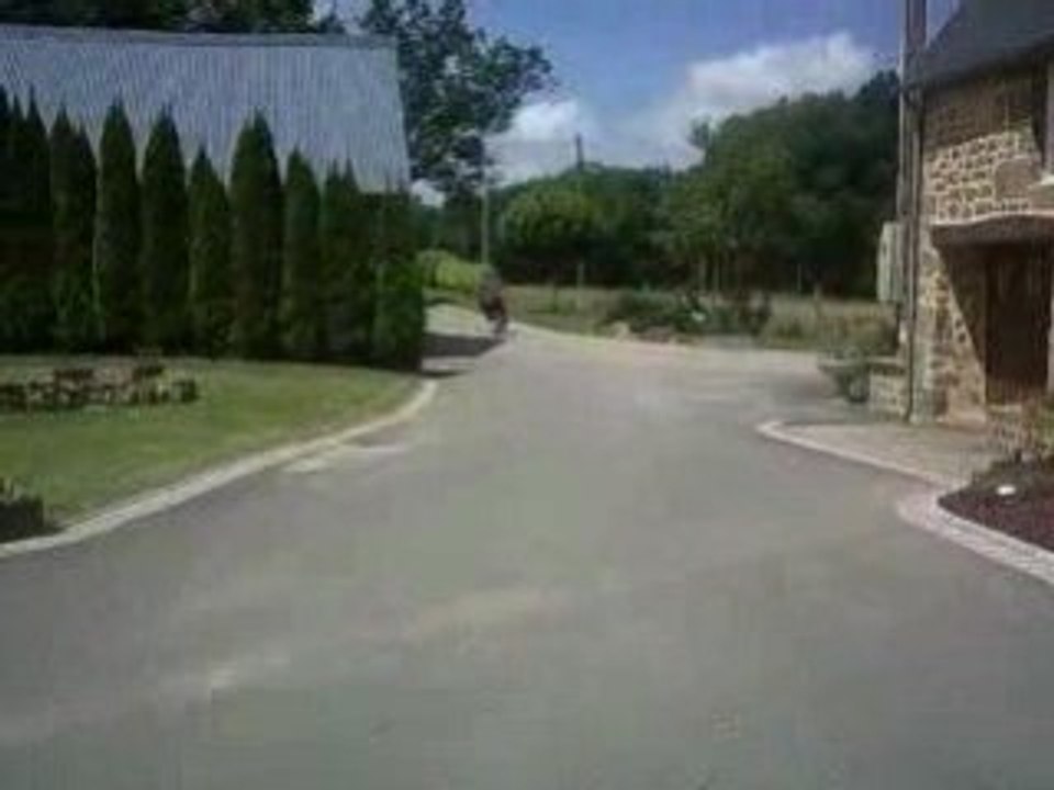 ROCKET LC ÉVO I