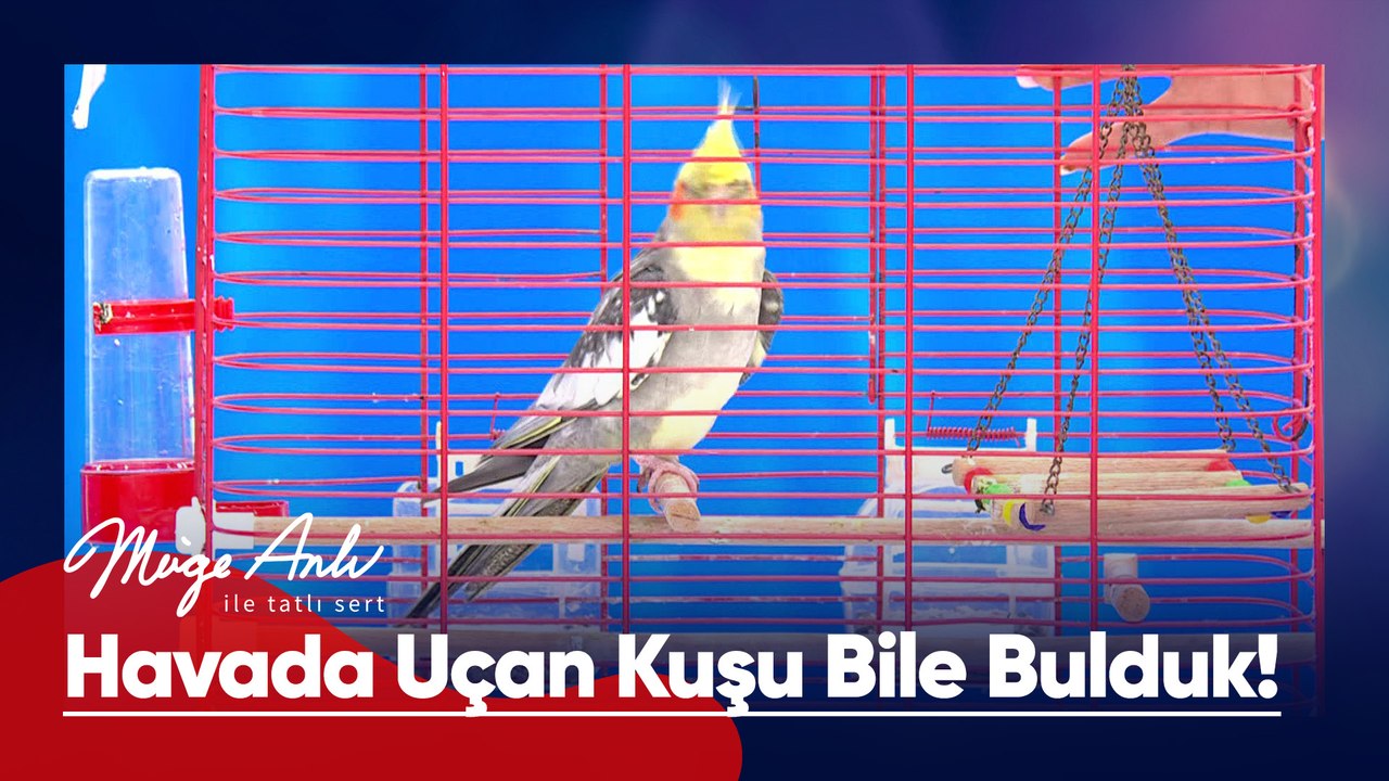 Müge Anlı, havada uçan kuşu bile buldu! - Müge Anlı ile Tatlı Sert 26 Haziran 2026