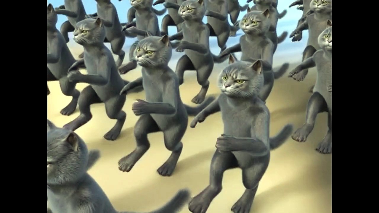 withoutwork cadense BIG CAT DJ