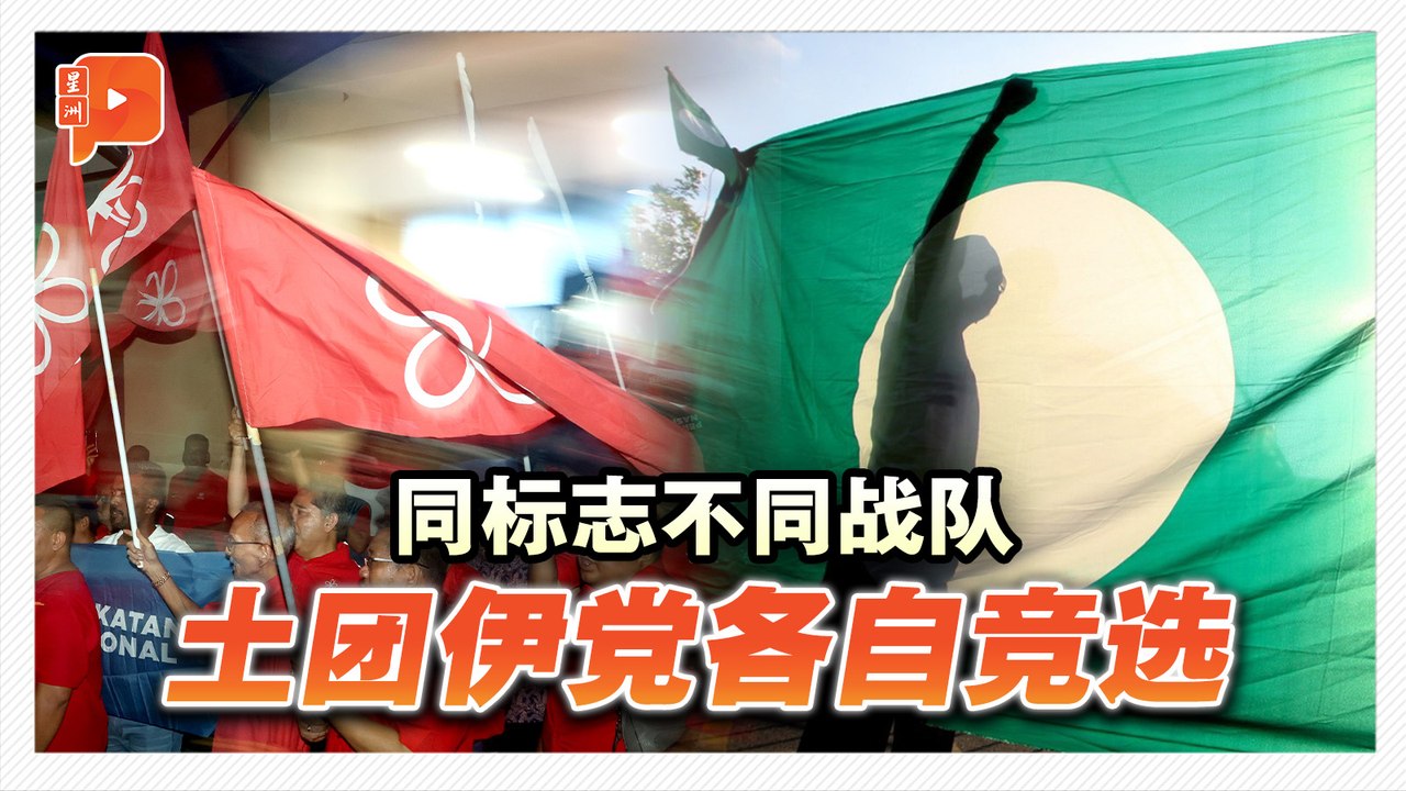 土团伊党同用国盟标志 端依布拉欣：不会联合竞选