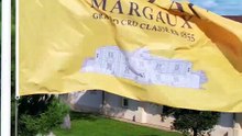 Assistez au Championnat du monde de dégustation !