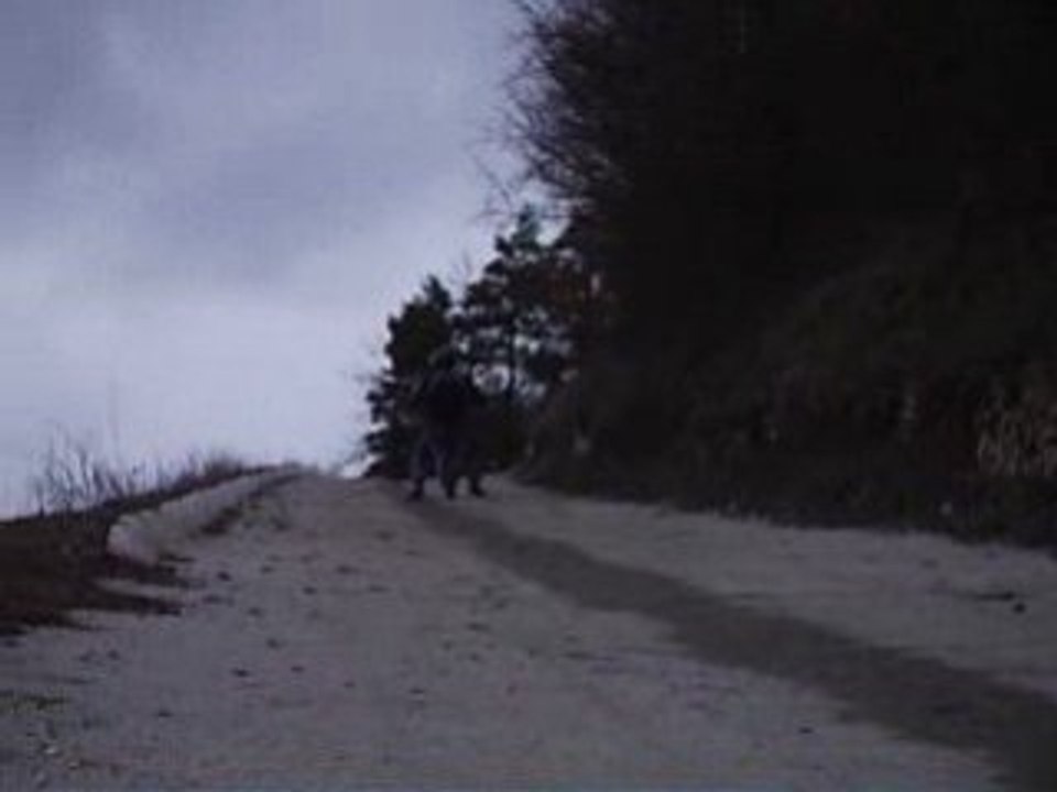 ASF_0032