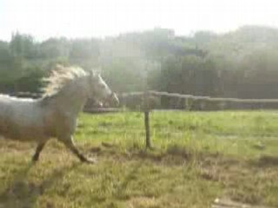 25 juin 08 (3)