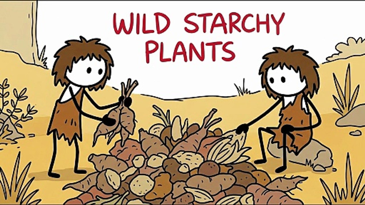 Why Ancient Humans Never Got Cavities | Until We Did