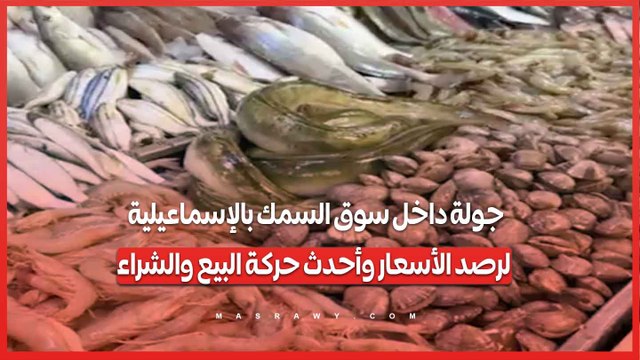 جولة داخل سوق السمك بالإسماعيلية لرصد الأسعار وأحدث حركة البيع والشراء
