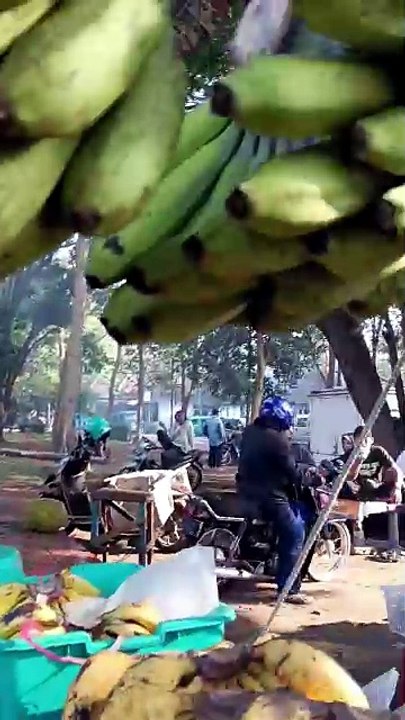 Real Time - Uncut  - The Journey From Home to the Traditional Market is Actually Quite Far