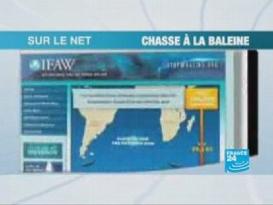 Union Obama-Clinton sur le web