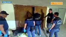 Arsenale in un garage a Catania, la Polizia sequestra numerose armi