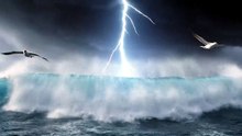 Powerful Ocean Storm with Brave Seabirds ⛈️🌊