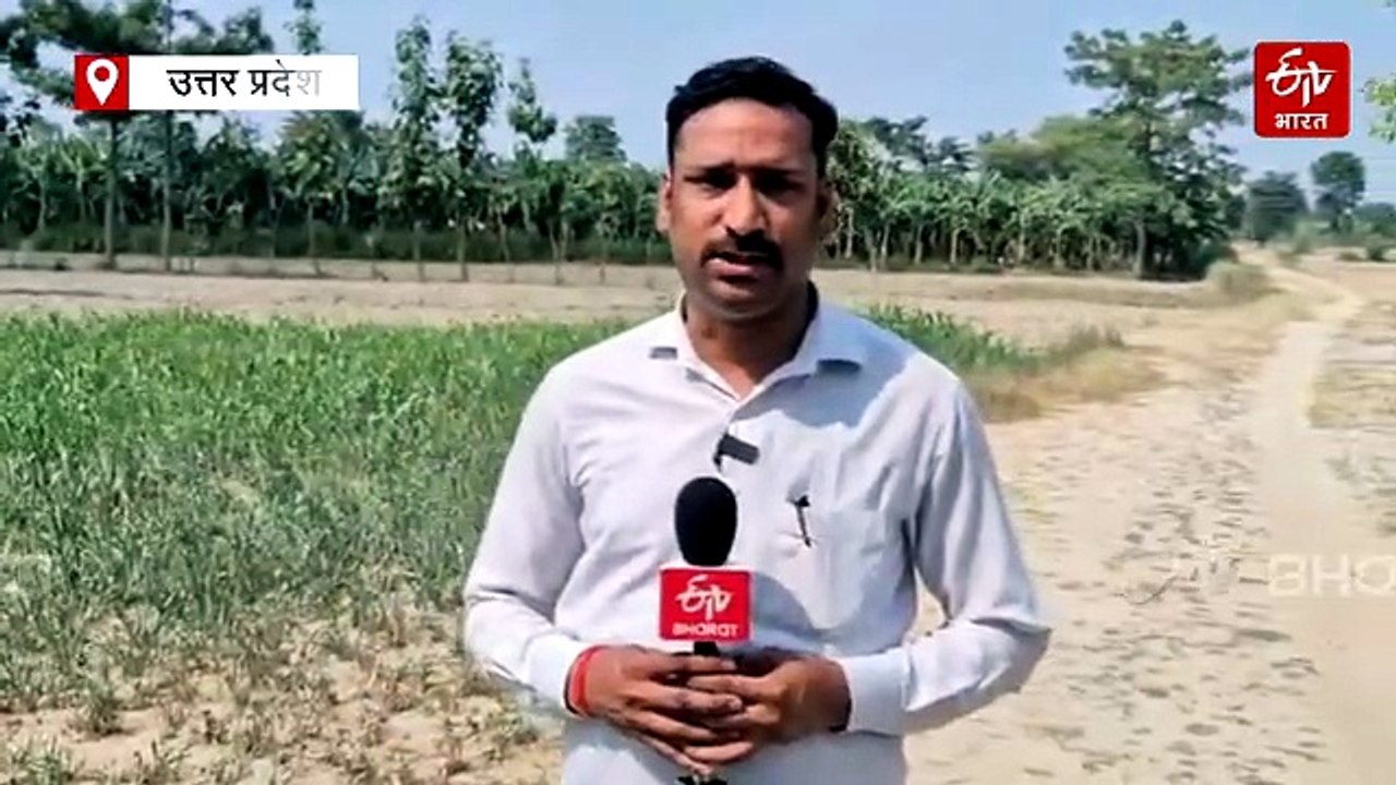 बहराइच में तेंदुए के हमले में वॉचर समेत 8 हुए घायल,  इलाके में दहशत का माहौल