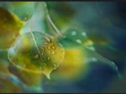 chant traditionnel d'Afrique du Nord kabyle Kyrie Agnus Dei