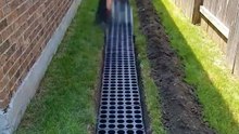 Empty Backyard to Beautiful Tulip Flower Bed! 🌷 Stunning Installation Timelapse