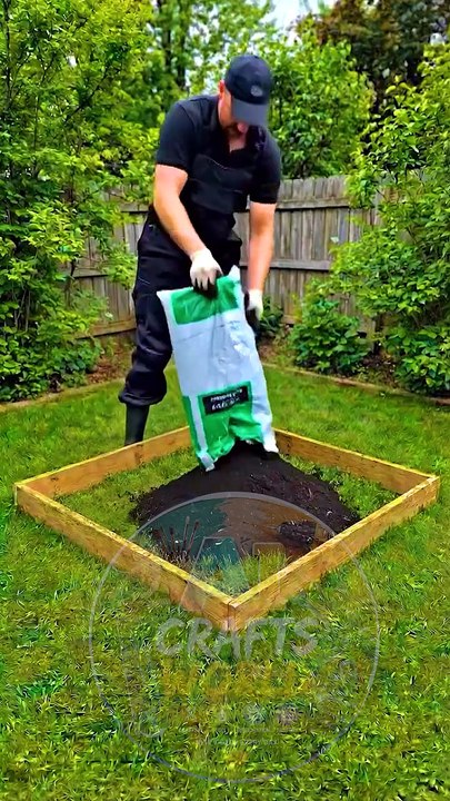 Turn Your Backyard into a High-Yield Strawberry Paradise! 🍓 Non-Stop Production Setup