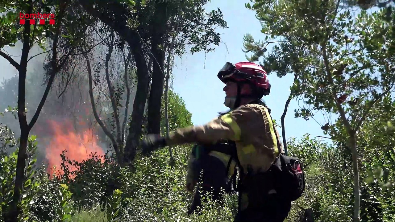Los Bomberos combaten el incendio en Tiana (Barcelona)