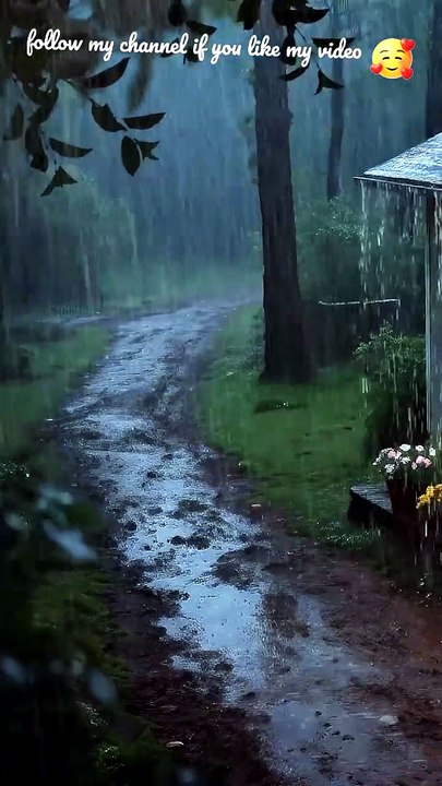 relaxing&nature cozy rain
