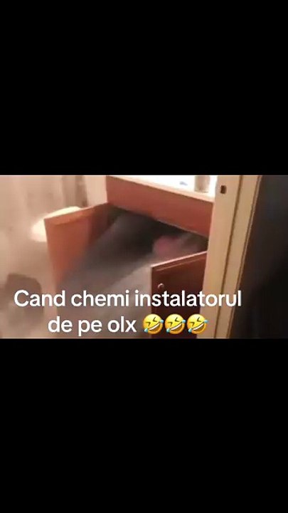 viral humor