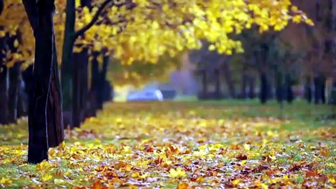 Meditation to Feel Safe Calm Emotionally Relaxed Malayalam