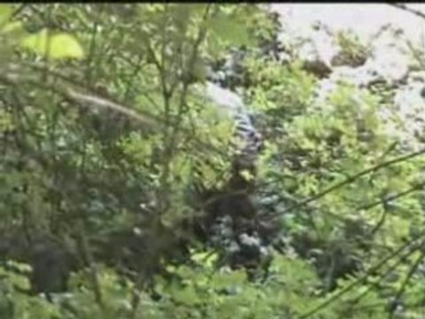 Airsoft scorpion and sniper charleroi