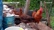 해발 3,000미터 새롭게 뜨는 트레킹 코스 도착!?