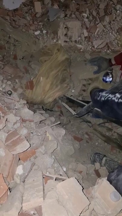 Venezuela rescuers save dog from earthquake rubble