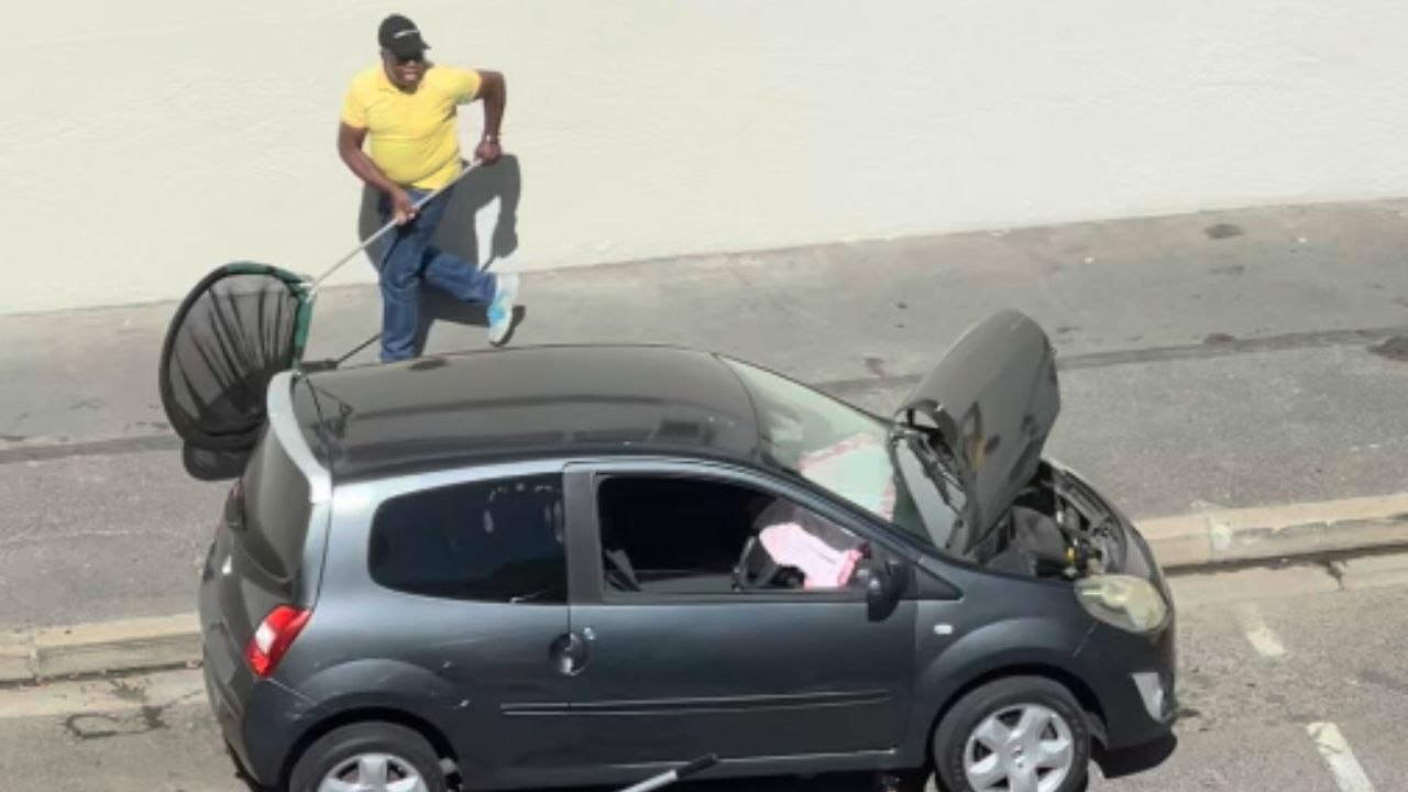 Street Rescue Crew Scrambles As An Otter Darts From Under A Car